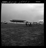 Bob A. Robinson Steer Wrestling