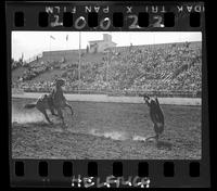 Ernest Forsberg Calf Roping