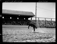 Art Cook on Snuffy Smith