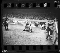 John Jones Steer Wrestling