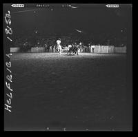 Buck Rutherford Steer Wrestling