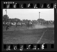 Smokey Kaiser Calf Roping