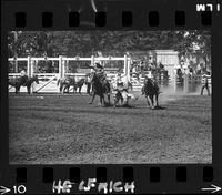 Pete Crump Steer Wrestle