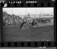 Allen Epps Calf Roping