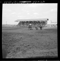 Willard Combs Steer Wrestling