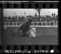 Barbara Lovelace  Barrel Racing