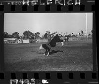 Clark Bros. Rodeo Kids