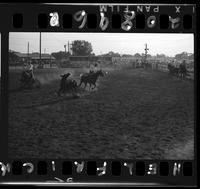 Hake Evetts - Leon Wilcox Team Roping