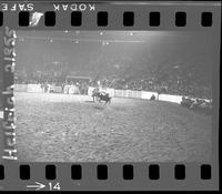 Corky Warren Calf Roping