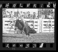 Bill Welsh  #33