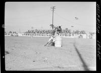 Pat McElwain Barrel Racing