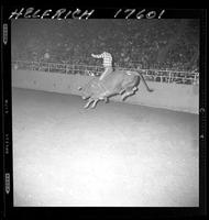 Jim Charles on Eight Ball (319 Flyiing A)