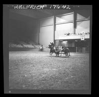 Harley May Steer Wrestling