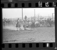 Bill Lawrence Steer Wrestling