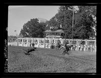 Dean Oliver Calf Roping