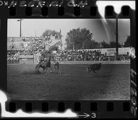 Smokey Kayser Calf Roping