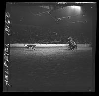 C.T. Jones Calf Roping