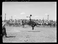 Ted Schall on Detour