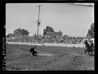 Olin Young Calf Roping