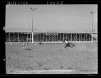 Don Fedderson Calf Roping