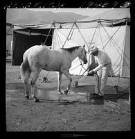 Jim Bynum & horse