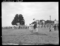 Leo Brown on Pinto Pete