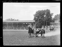 Bill Murry Steer Wrestling