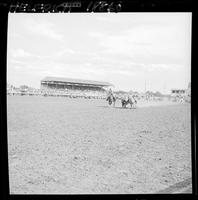 Poag Brenton Steer Wrestling