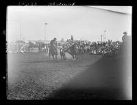 Jim Charles Steer Wrestling