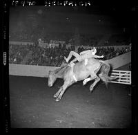 Jim Baisch off Red Gold