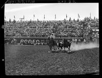 Manuel Enos Steer Wrestling