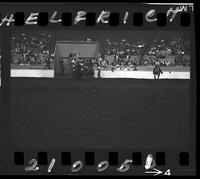 Pat Scudder Steer Wrestling