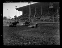 Jim Rodriguez - Gene Rambo Team Roping