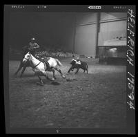 Billy Hale Steer Wrestling