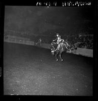 Larry Kane on Nine Acres