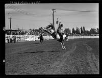 Bernie Gregg on Little Beaver