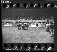 Anson Thurman Steer Wrestle