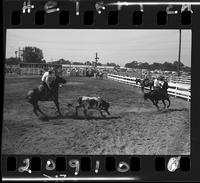 Les Hirdes - Al Hooper Team Roping