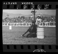 Unknown Steer Wrestling, Clowns, Etc