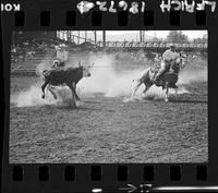 Bill Hogue - W.R. Robinson Team Roping