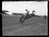 Clark Holden on Big Chief