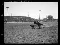 Jim Muzio - R.D. Rutledge Team Roping