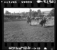 Art Messerly - Levi Frazier Team Roping