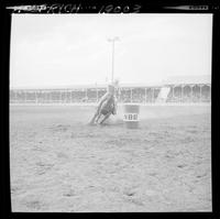 Margaret Hawkins Barrel Racing