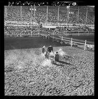 Larry McKinney (Bull Fighting)