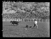 Art Davis (milker) - Jerry Hadley mugger