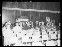 Committee Panels, Phoenix