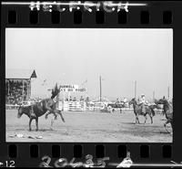 Buck Rutherford off Fishook