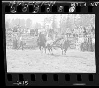 Gene Miles Steer Wrestle