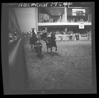 Bill Linderman Steer Wrestling